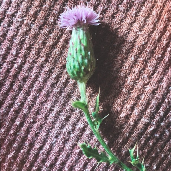 βοΈππ€Winter Time Closet Clear Out!!π€πβοΈ - Picture 8 of 9